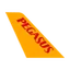 פגסוס